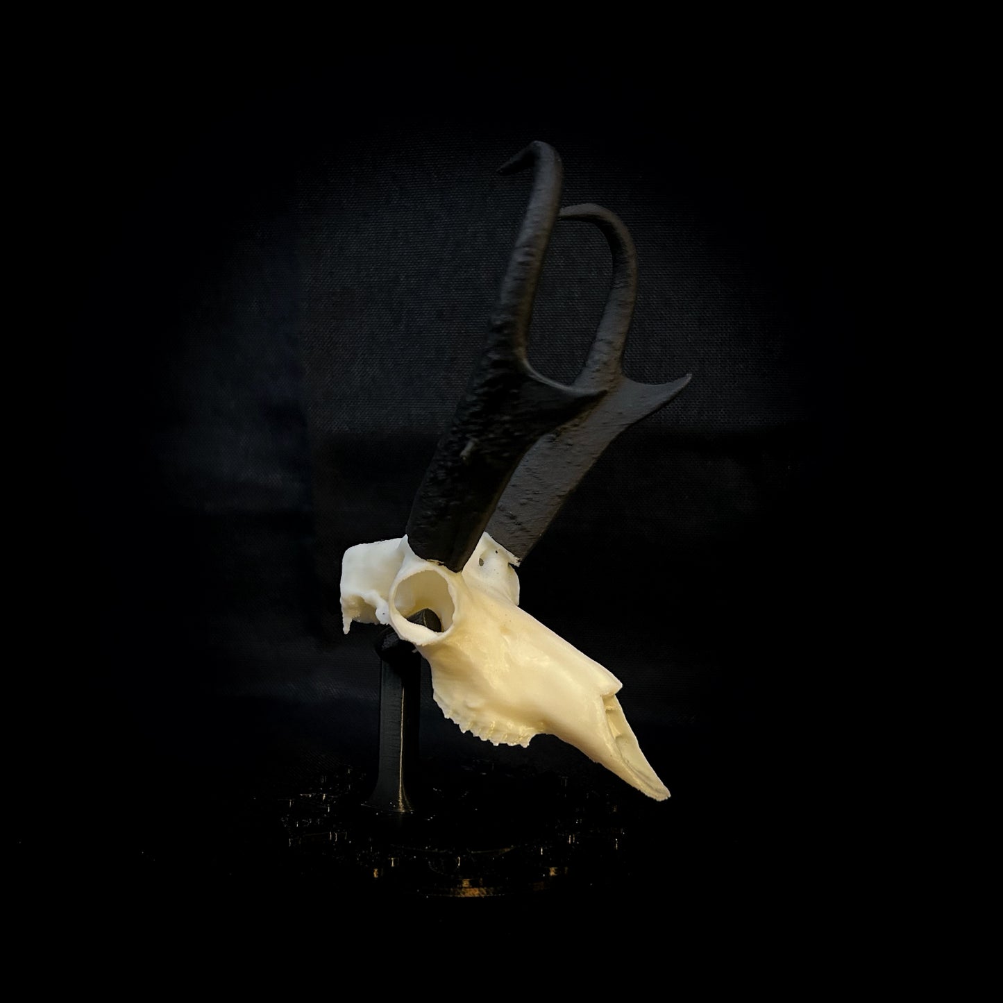 Speed Goat | Pronghorn