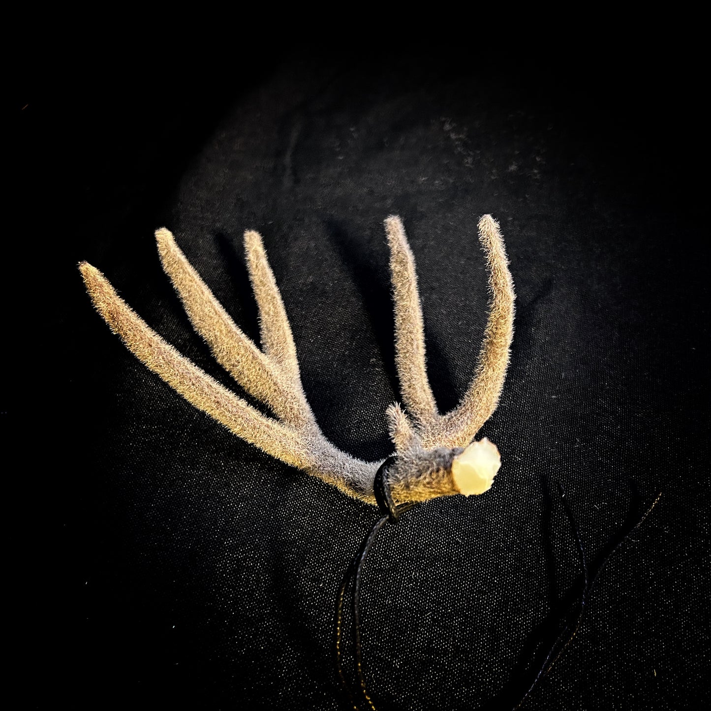 Velvet Thor | Dangler