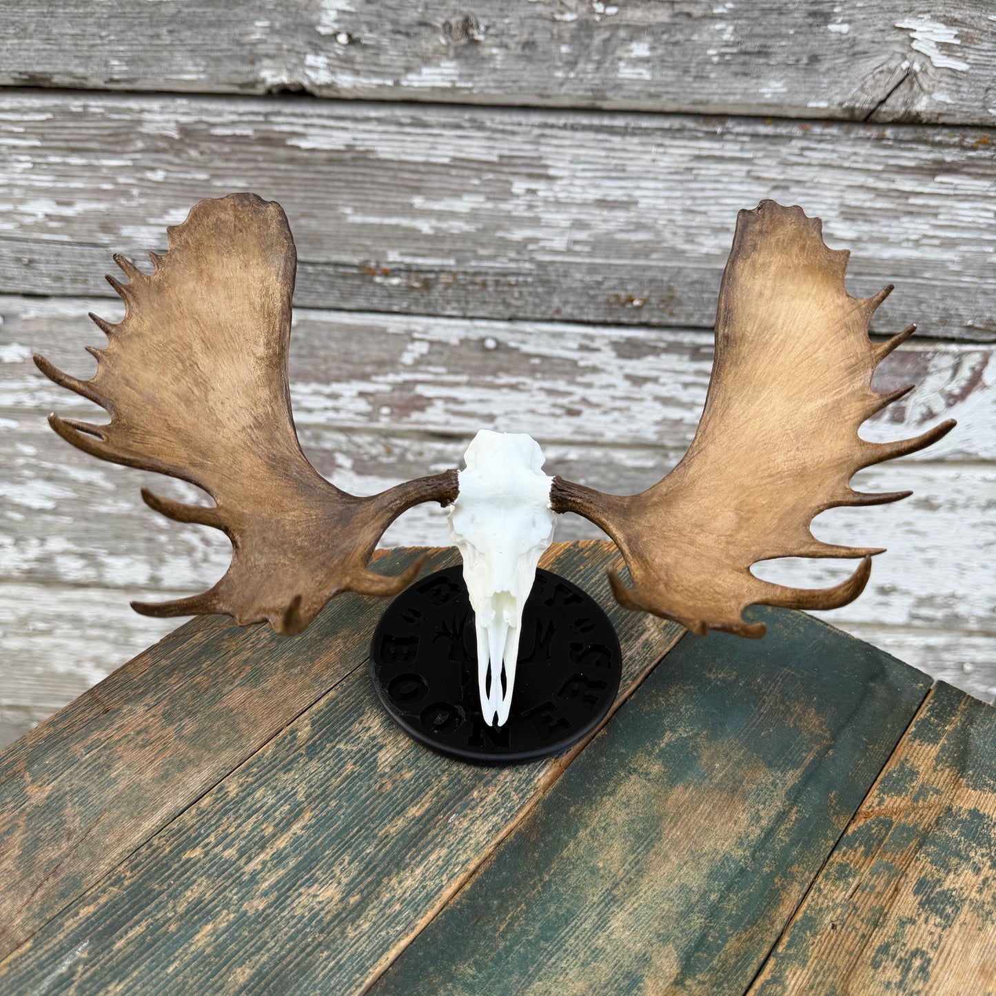 Moose
