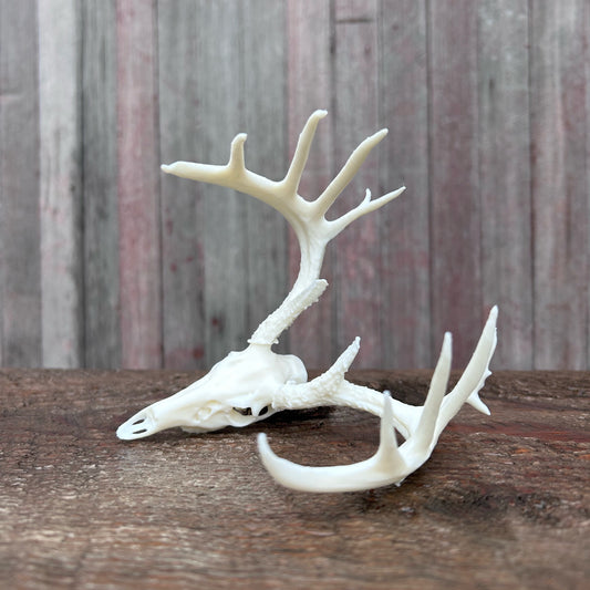 Kicker Whitetail Euro (White)