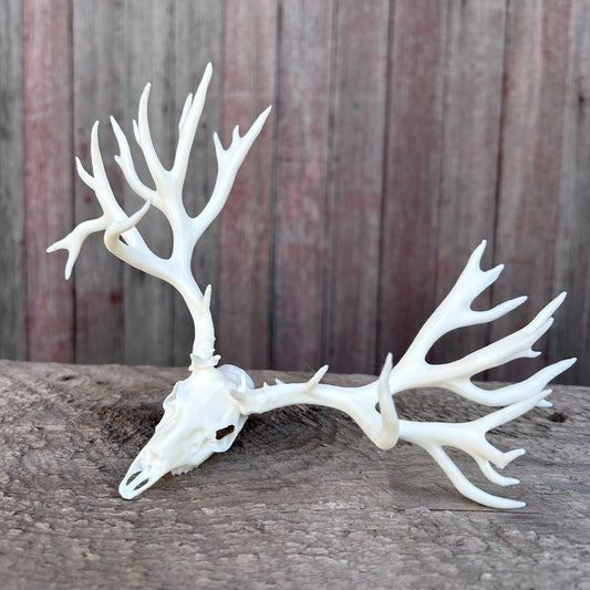 Trashy Mule Deer Euro (White)