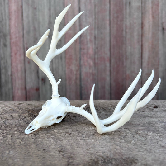 Thor Mule Deer Euro (White)